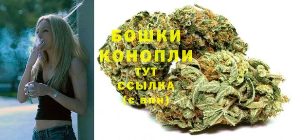 дмт Кондопога